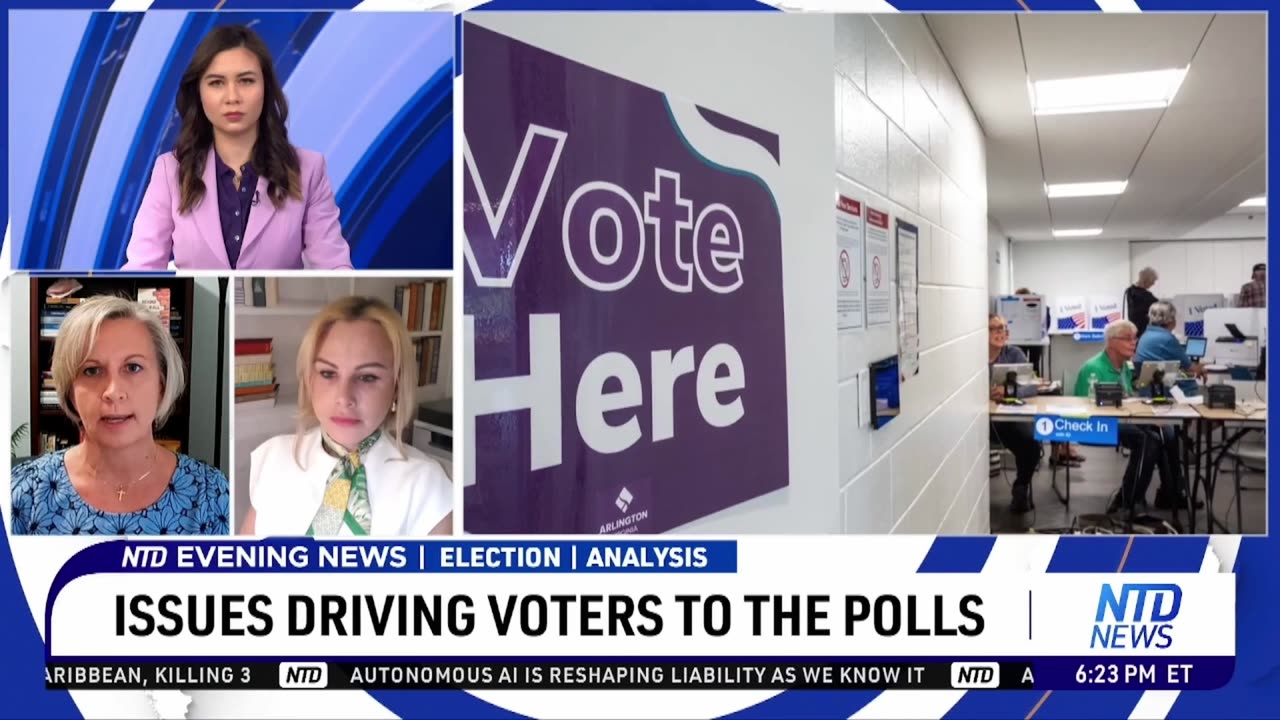 Analysts Unpack What to Watch for in New York, Virginia Elections