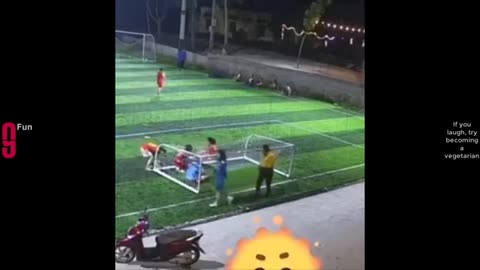Funny Videos | Try Not To Laugh