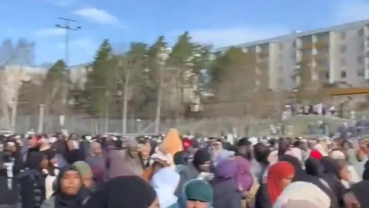 Stockholm is almost an Islamic caliphate.