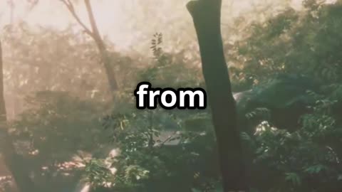 What if...Amazon Rainforest!?