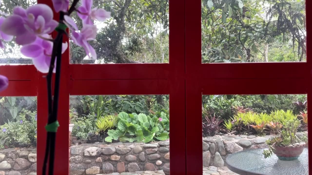 #fresh Day 15 [30-Day Dance with 30-Seconds]