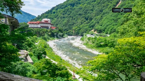 Laozi's Tao Te Ching: Ancient Wisdom for Modern Life
