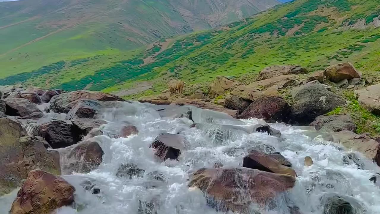 Kashmir, India