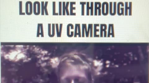 Sunscreens Under UV Camera