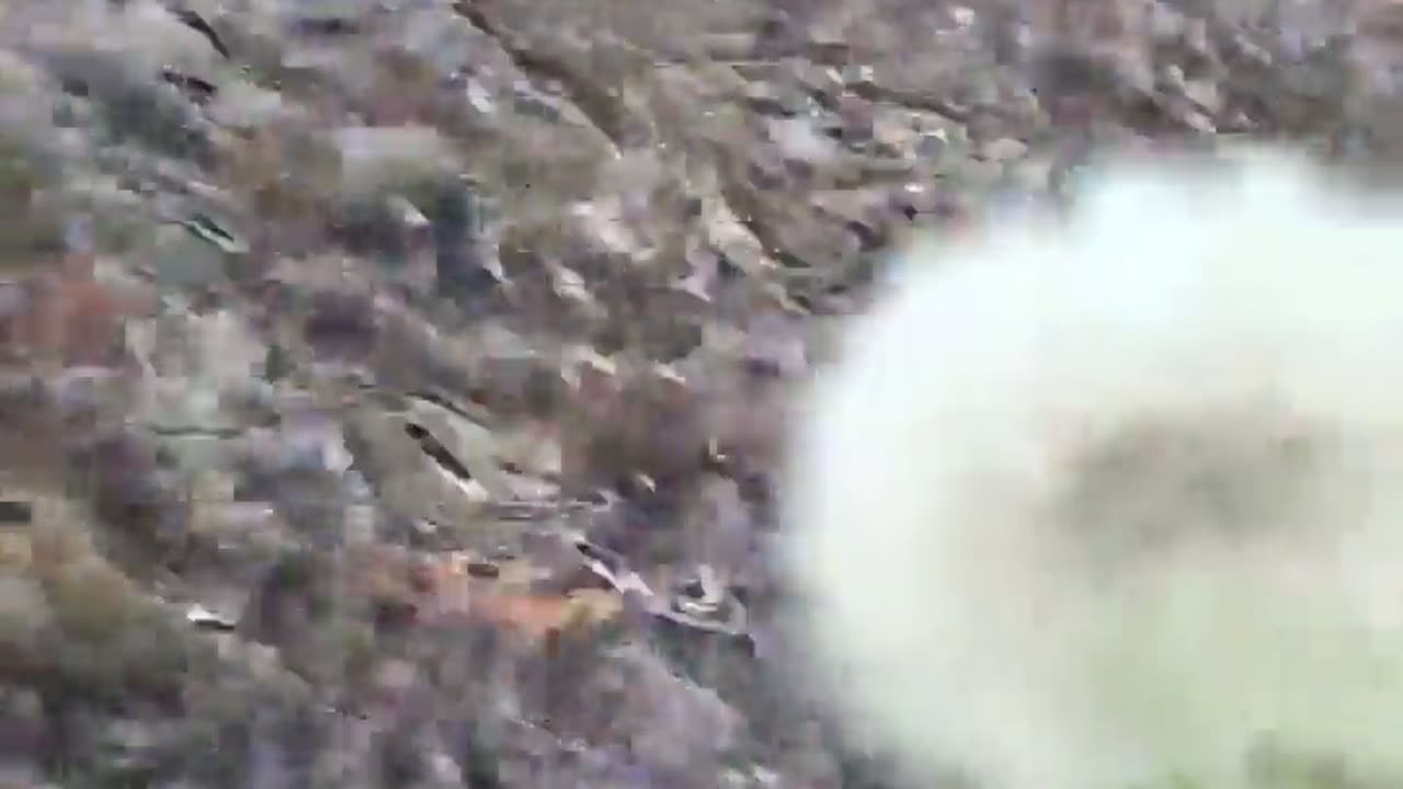 🌼💧 Dandelion in a Stream! Nature's Surprise | FunFM