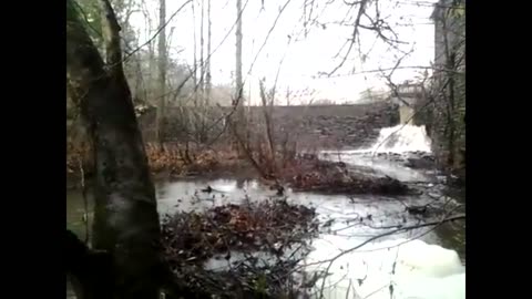 Bear Creek Lake area goodness