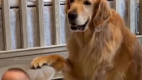 Cute ❤️❤️