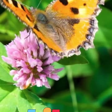 😊 39. ¡EL AMOR DE DIOS TE RESUCITA DESDE ADENTRO! Efesios 2:4-5 😊