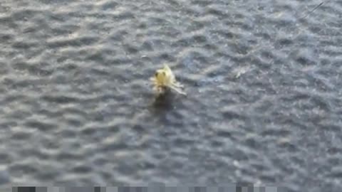😂🤣 The Fact He Turned Towards The Camera! | FunFM