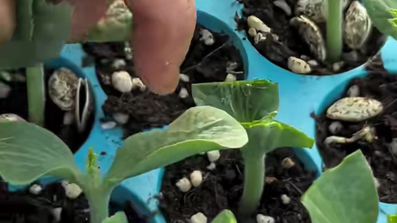 😮🔧 Watch These Tools In Action! | FeedMyCuriosity