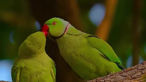 Love is life