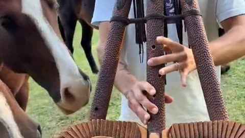 Guy plays for his animals
