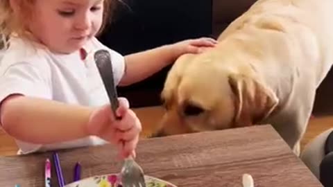 What Happens When You Feed Your DOG ALL Your Food?