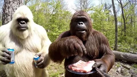 Yeti and Bigfoot VLOG