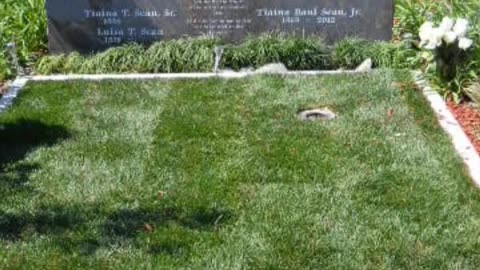 FAMOUS GRAVES - VOL. 330: JUNIOR SEAU