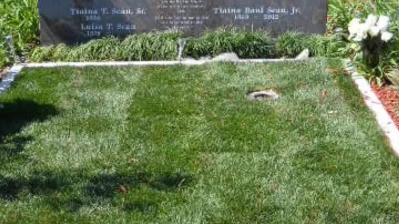 FAMOUS GRAVES - VOL. 330: JUNIOR SEAU