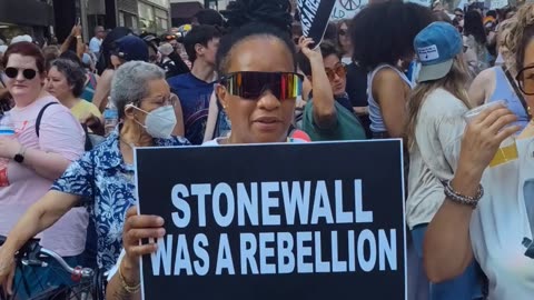 "Stonewall was a rebellion" "Free Palestine" "Fuck ICE"