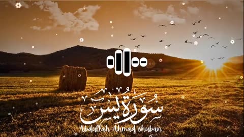Surah Yaseen by Famous Qari | Healing Quran Recitation 4K