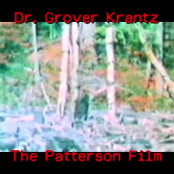 Video Footage "Confirms" the Existence of Bigfoot