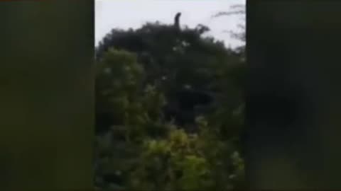 😨💥 Ghost of La Llorona Caught on Camera! | TheHauntingHour