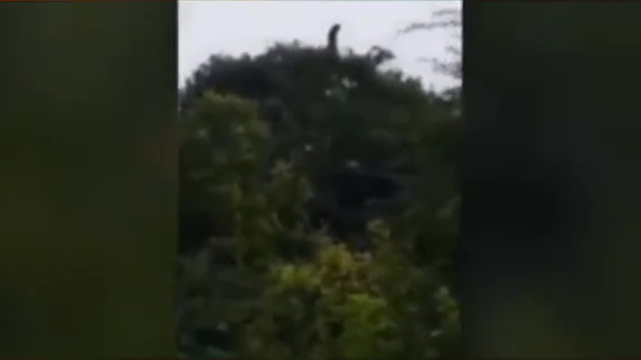 😨💥 Ghost of La Llorona Caught on Camera! | TheHauntingHour