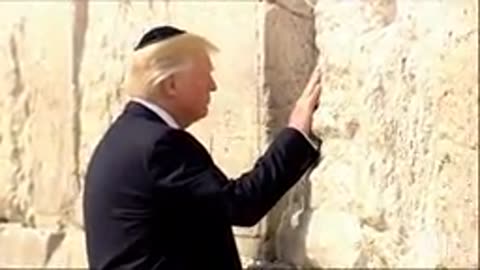 President Trump fucking a Roman wall