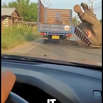 When an elephant falls from the truck that confined it, its ordeal seems to turn into an opportunity