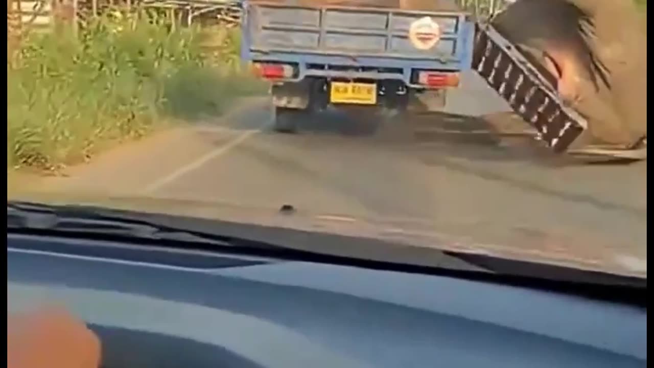 When an elephant falls from the truck that confined it, its ordeal seems to turn into an opportunity