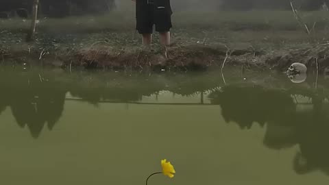 Must Watch: Lake Monster scp 096 - daisy daisy song #horror #shortfilm #tiktok