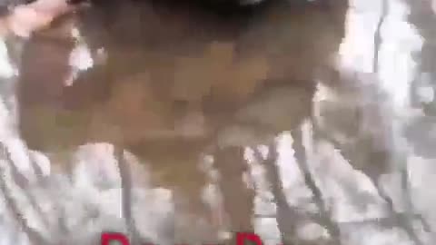 🪖💧 Ukraine Russia War | Russian Soldiers Drink Water from a Puddle | RCF