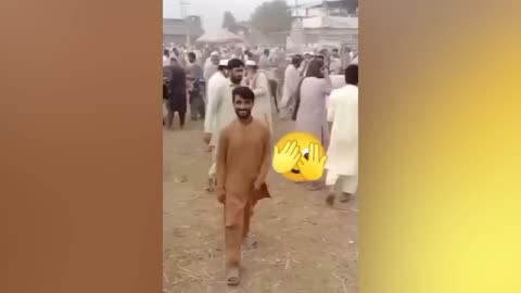 Best Funny Videos of the Year