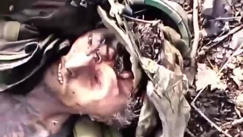 Ukraine war combat footage 8/12/25