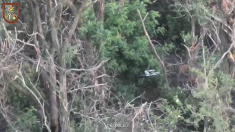 Ukraine war combat footage 9/2/25