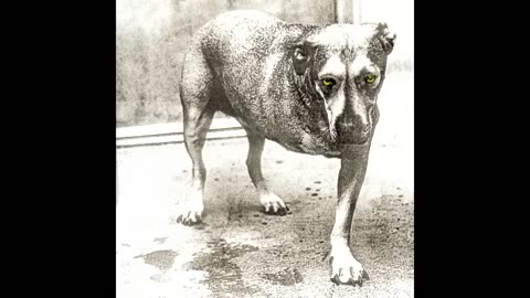 Alice In Chains - Heaven Beside You