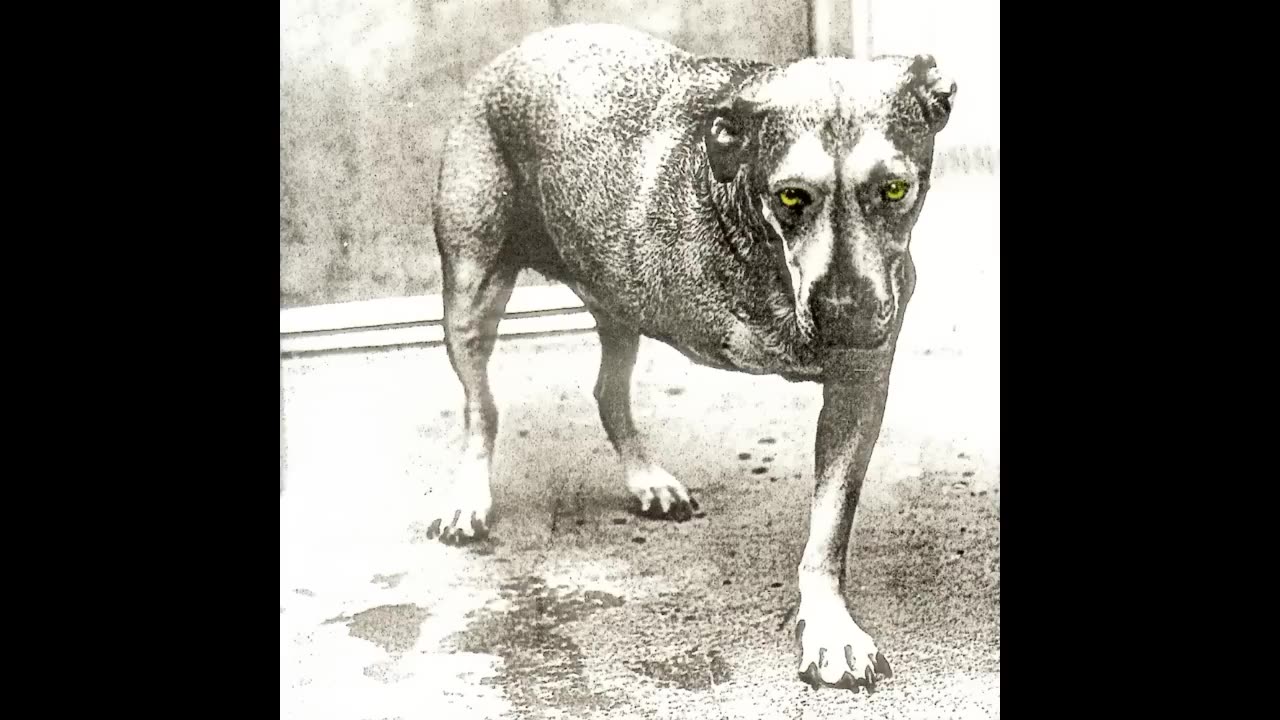 Alice In Chains - Heaven Beside You