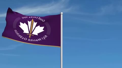 The first none corporation flag designed by We The People for The People by The People of We The People