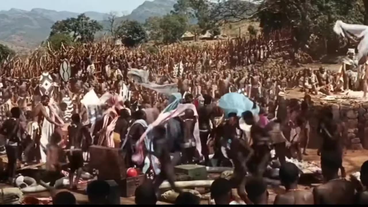 Bunga Bunga Democracy
