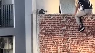 This brave young man risks his life to save a little kitten