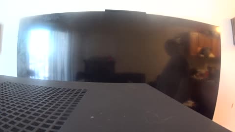 THE LINUX CHAOS CONTINUES!!!!! (8 of 8)