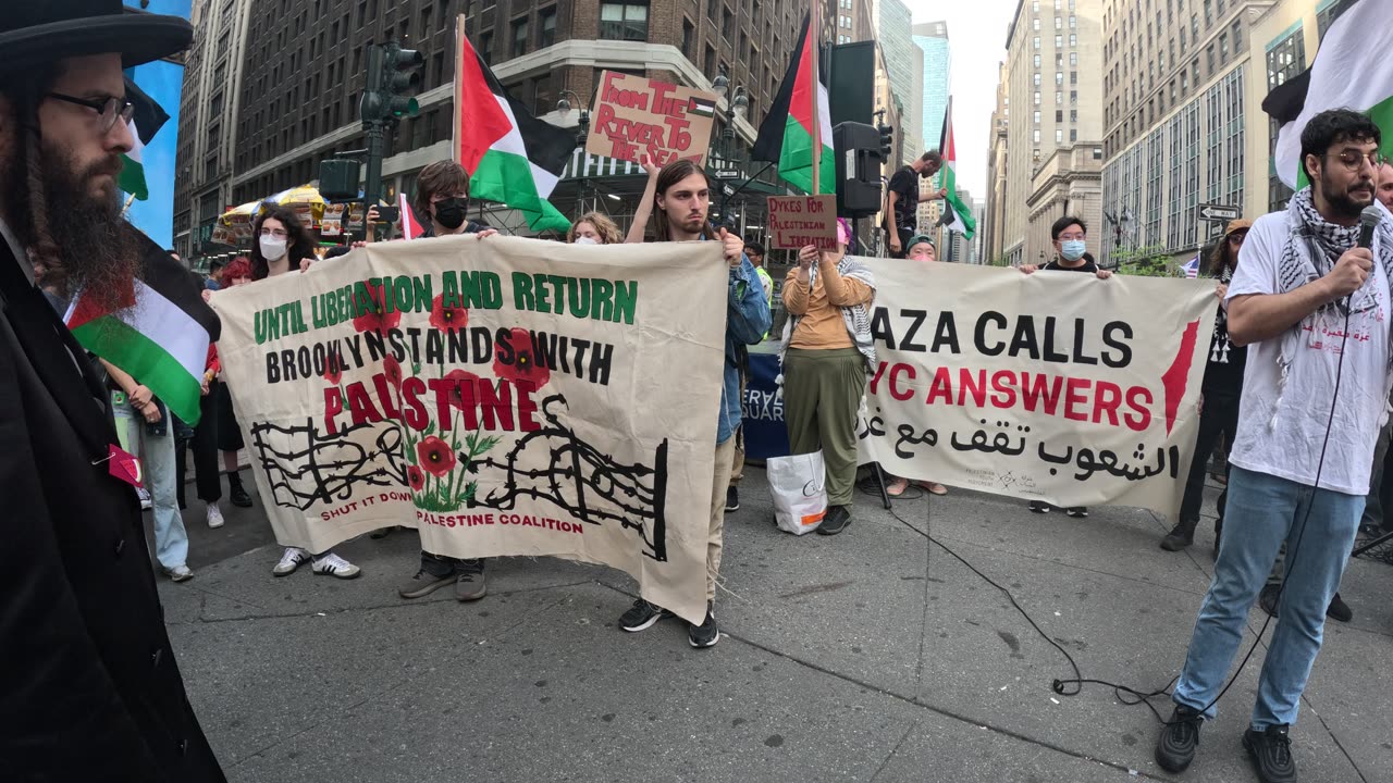 Arms embargo now! "Global Day of Action for Gaza" in New York City.
