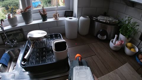 Bug-A-Salt Exterminates Two Flies in the Kitchen