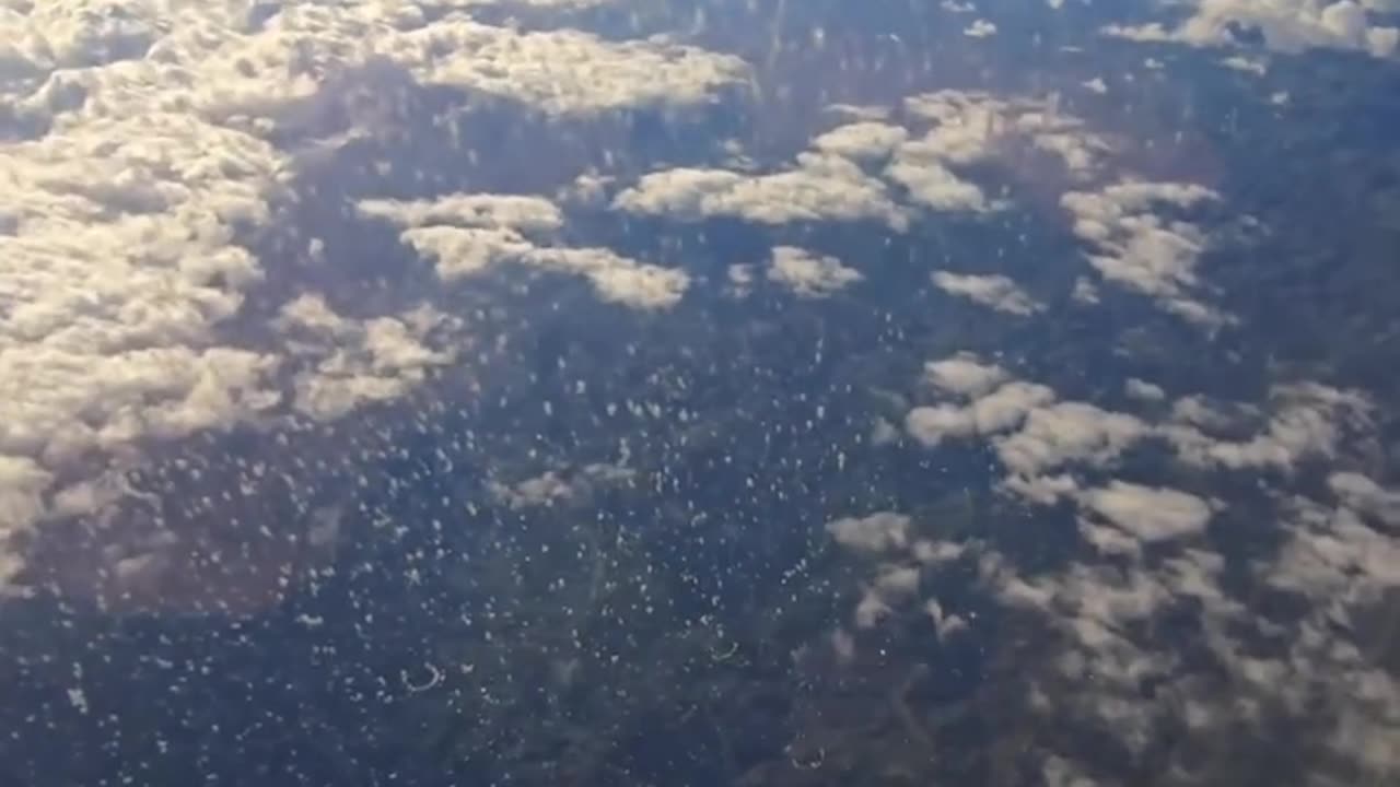 The quality of video-zoom these days on phones never ceases to amaze