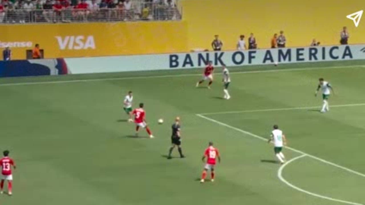 palmeiras