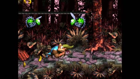 Donkey Kong Country 3 - Part 37