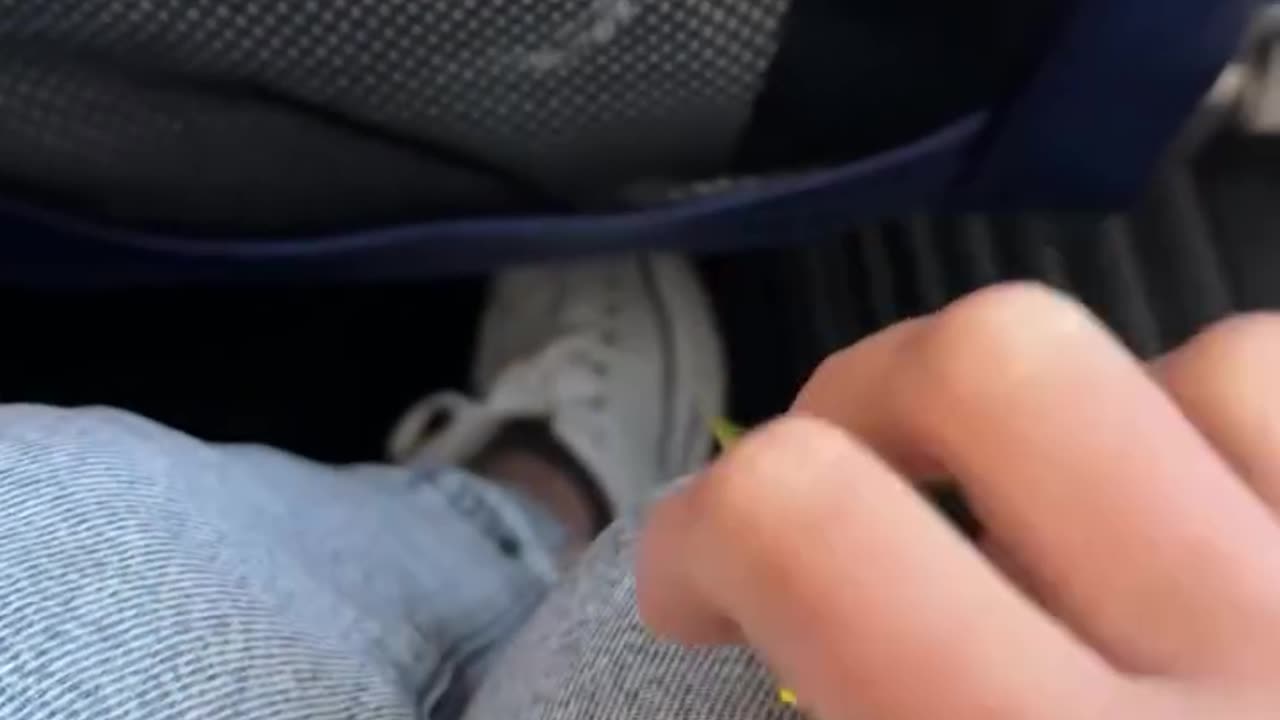 I'm never flying coach again!.hd