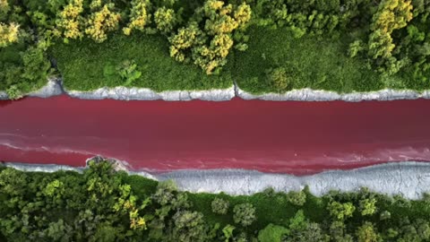 STRANGE SIGNS OF THE END TIMES ARE HAPPENING! BLOOD RAIN & RIVERS & OCEANS TURNING RED!