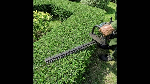 Alberto's Gardening
