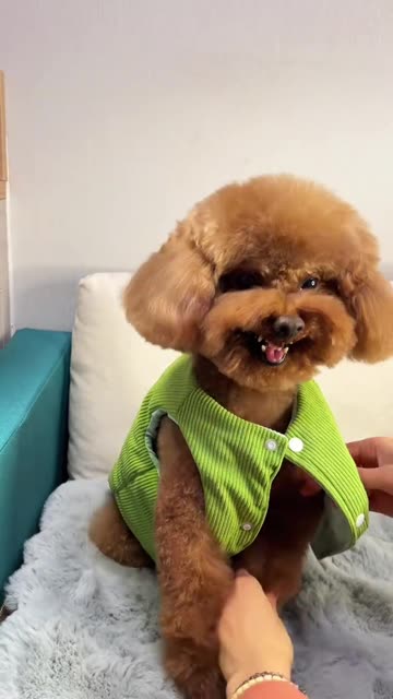 Laisse moi tranquille 😂😂😂