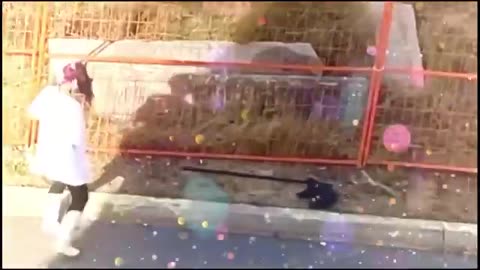 McInnis C Dedimus: The Chronicles of Waterloo St. Concrete Dance Party... for one.