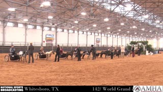 AMHA 2025 World Show 9/24